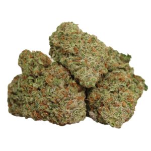 Mimosa